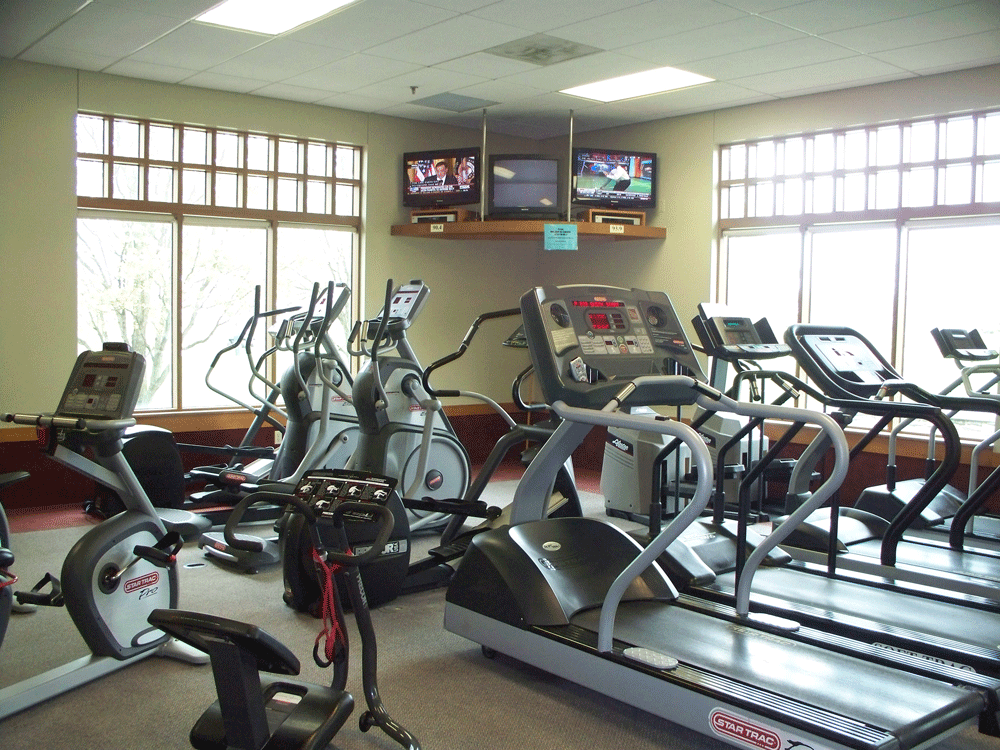 Fitnesspic1.gif