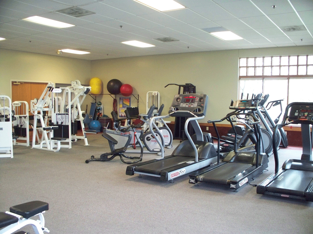 Fitnesspic2.gif