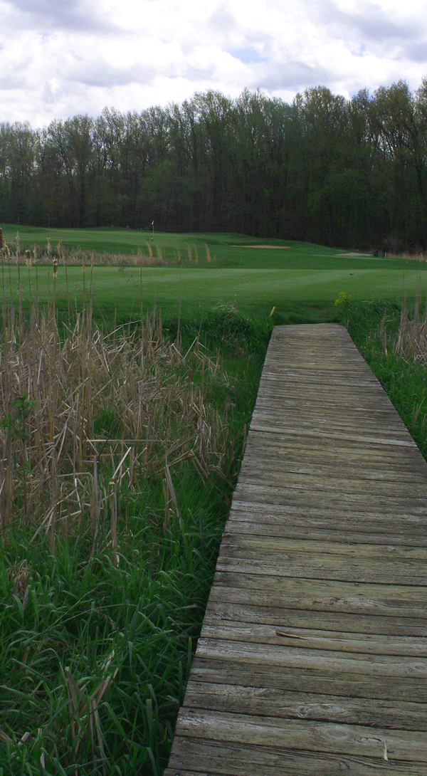 Golf-pic.gif