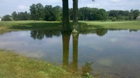 Golf Course.bmp